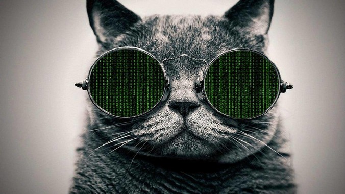 2025年六月现在硬盘咋还涨价了呢？